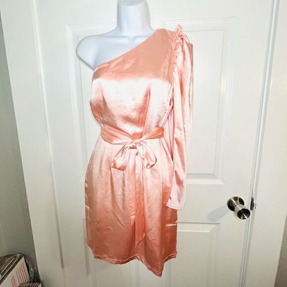 Red Dress Boutique Aaakaa Wish For More One Shoulder Ruffle Satin Dress Blush M - Picture 5 of 13